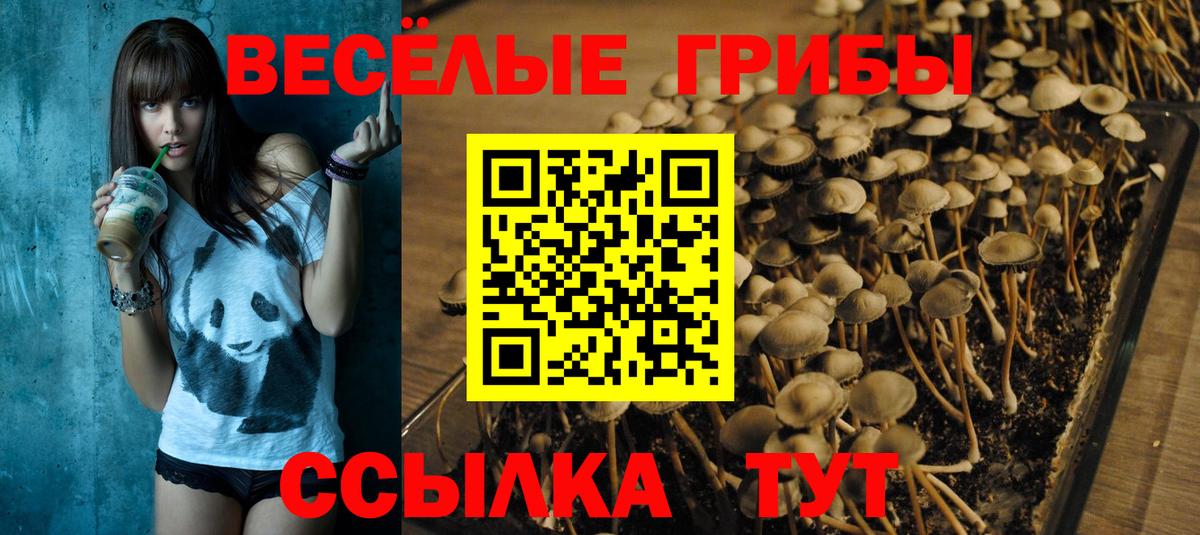 Курганинск  Псилоцибиновые грибы Psilocybe  Вход с VPN 