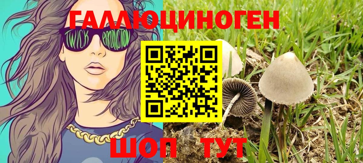 Псилоцибиновые грибы мухоморы Курганинск