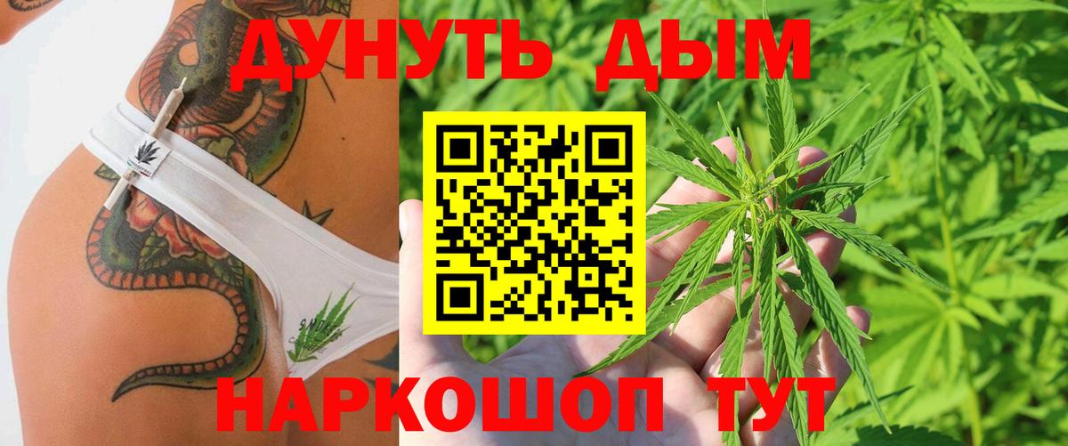 Бошки Шишки сатива Курганинск